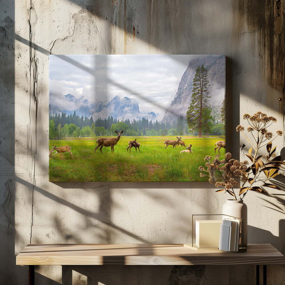 A Feeling of Ancient Time by Dianne Mao | Wildlife National Park, Large Canvas Wall Art Print | Artsy Earth