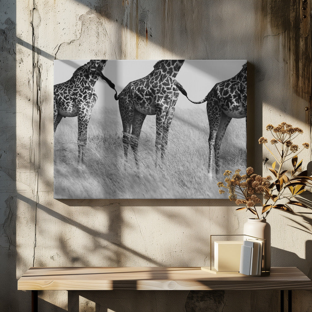 Wild Connection by Mohammed Alnaser | Wildlife Safari Nature, Large Canvas Wall Art Print | Artsy Earth