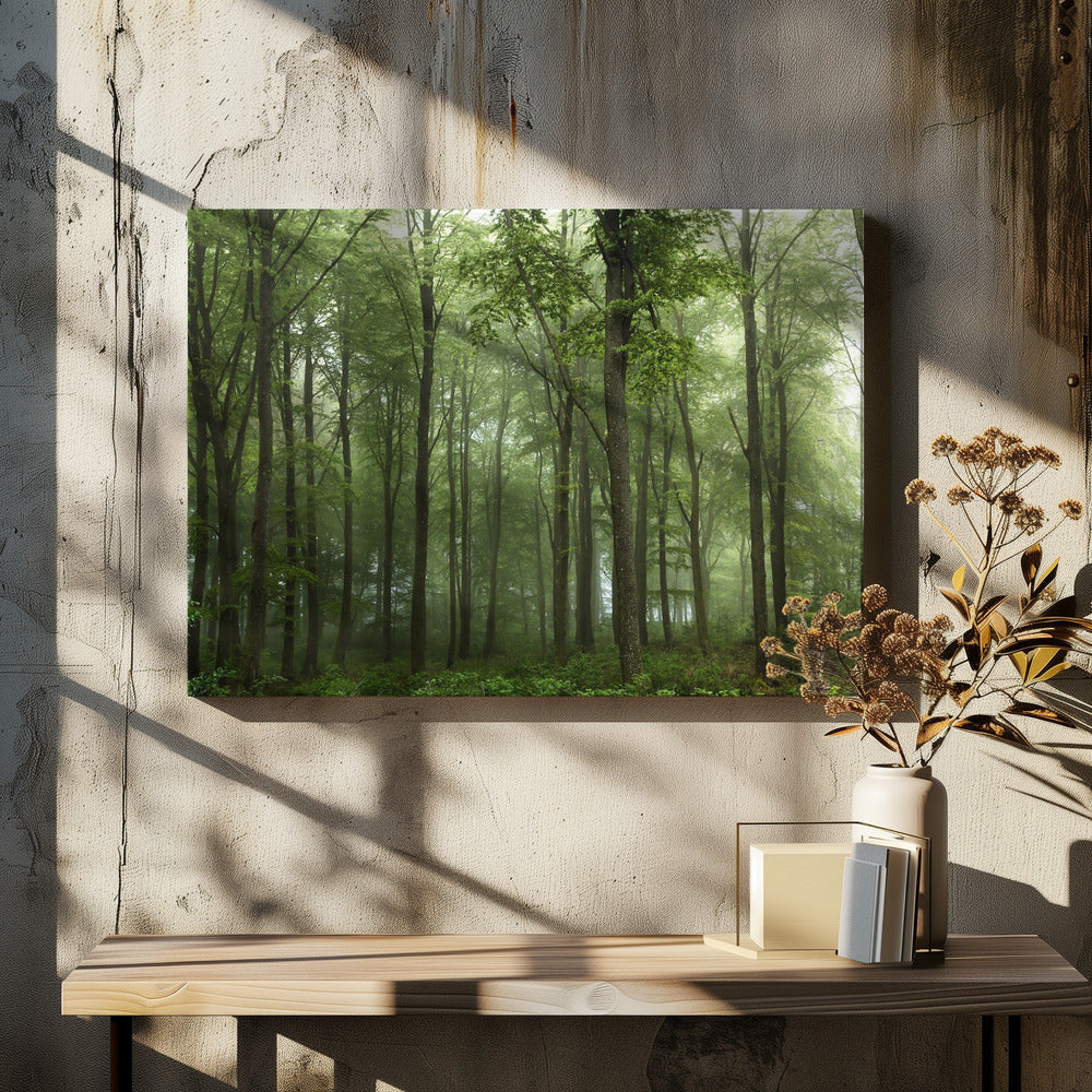 Foggy Forest by Leif Løndal | Danish Forest Landscape, Large Canvas Wall Art Print | Artsy Earth