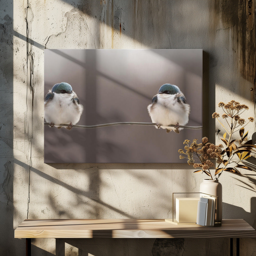 Birds on a Wire by Lucie Gagnon | Winter Birds Morning, Large Canvas Wall Art Print | Artsy Earth