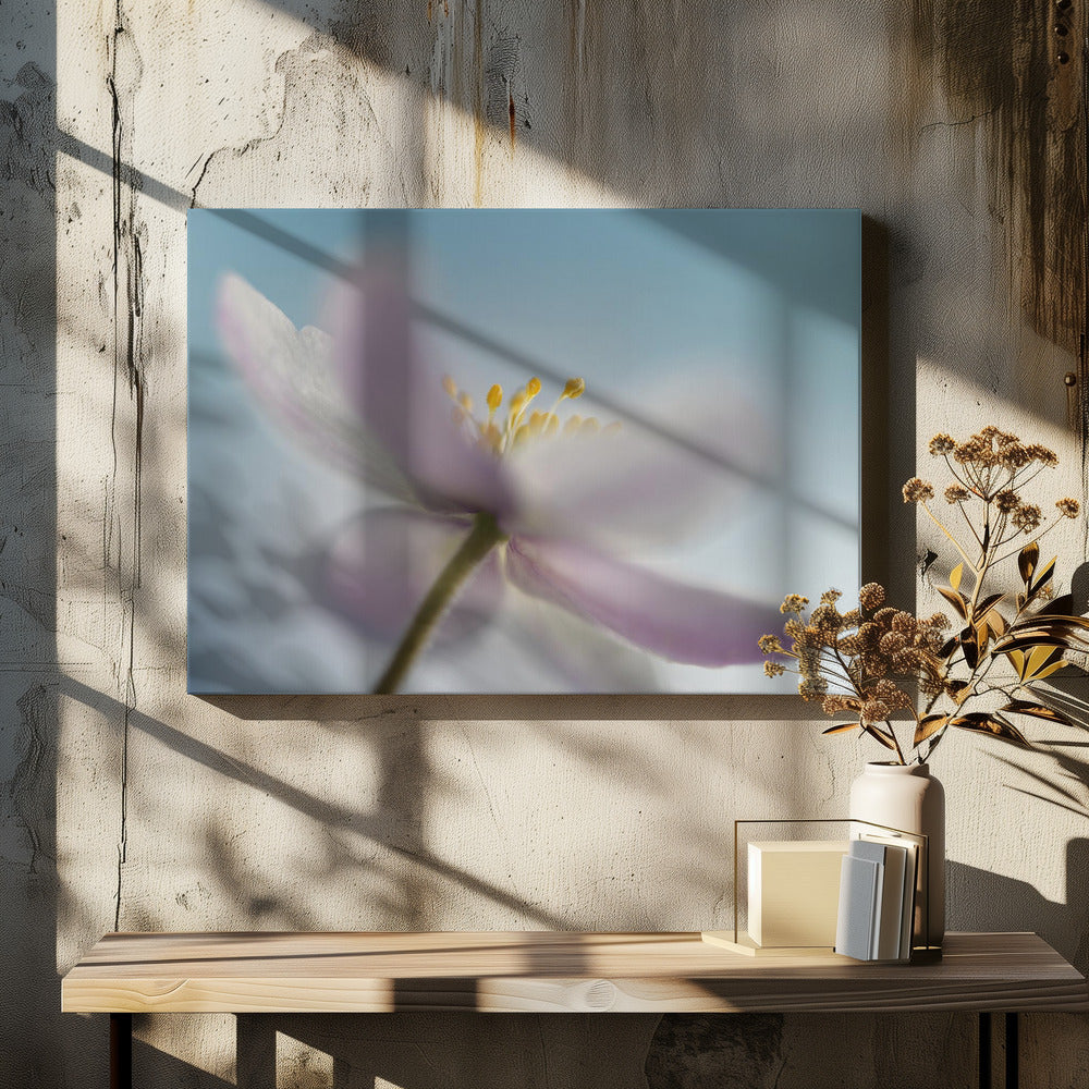 Soft Pastel Flowers by Heidi Westum | Floral Botanical Macro, Large Canvas Wall Art Print | Artsy Earth