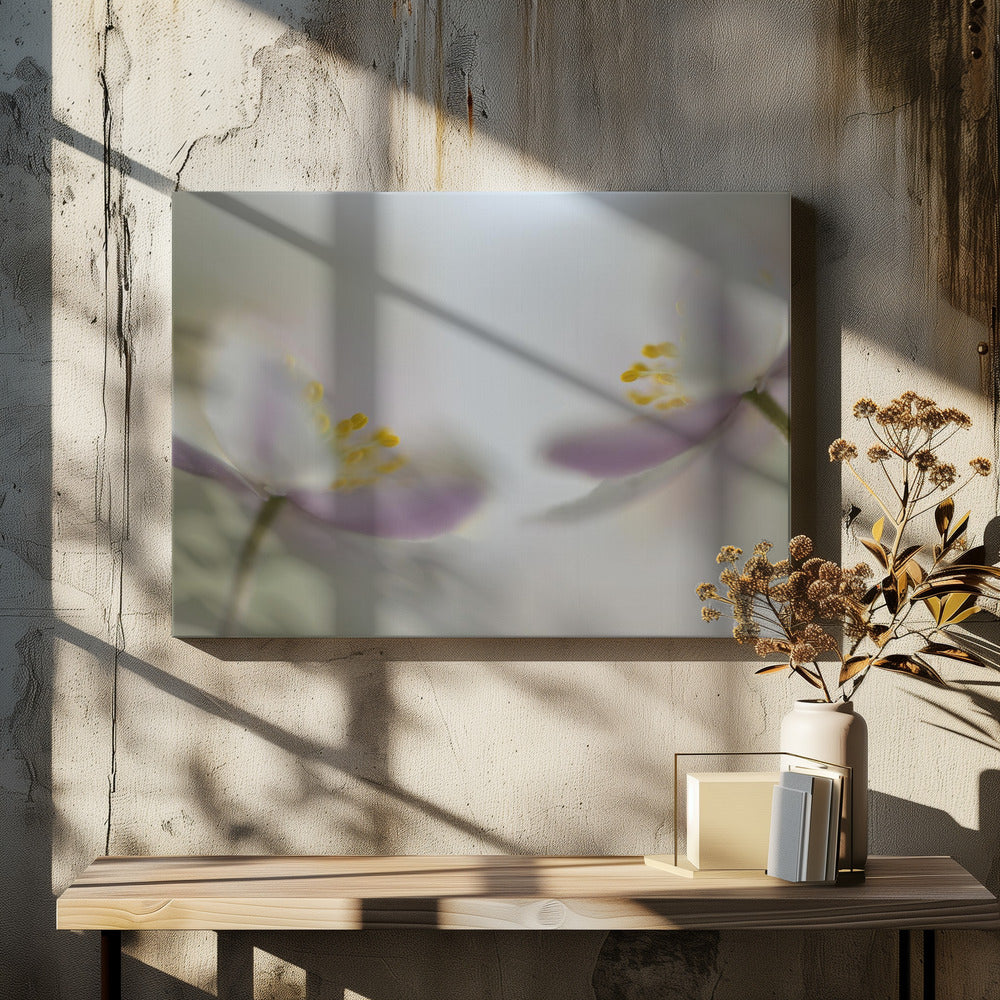 Soft Whispering by Heidi Westum | Delicate Floral Panorama, Large Canvas Wall Art Print | Artsy Earth