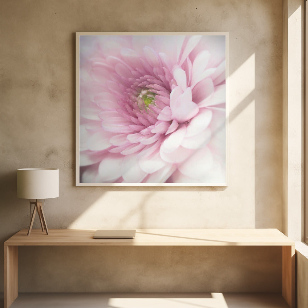 Pink Floral Macro by Benyamin Riahy | Delicate Pink Blossom, Large Canvas Wall Art Print | Artsy Earth