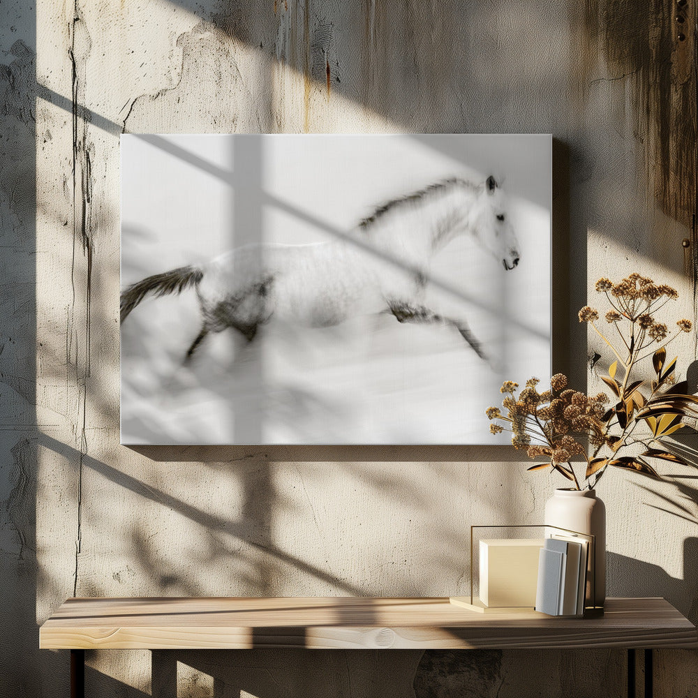 The Unique Brush Stroke by Martine Benezech | Motion Blur Horse, Large Canvas Wall Art Print | Artsy Earth