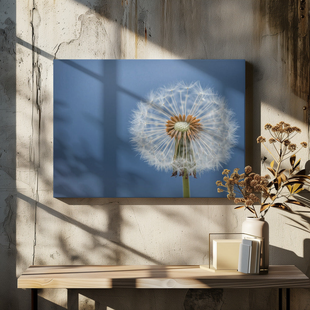 Dandelion Macro Art by Bess Hamiti | Minimal Botanical Abstraction, Large Canvas Wall Art Print | Artsy Earth