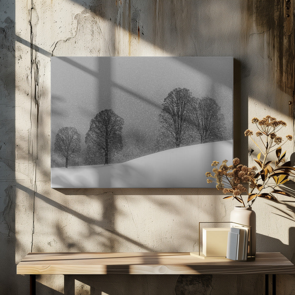 Snow White Forest by Andy Dauer | Misty Winter Landscape, Large Canvas Wall Art Print | Artsy Earth