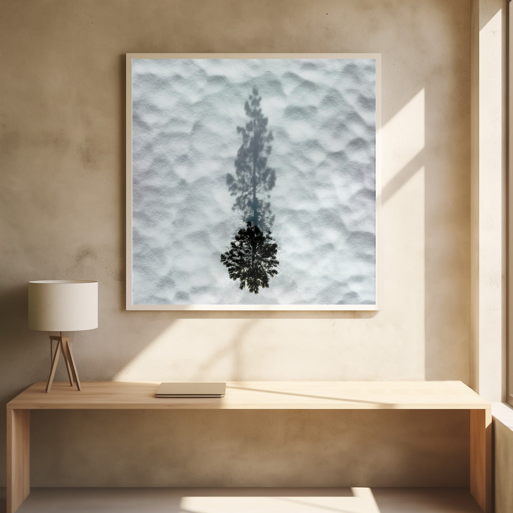 Winter Tree Wonder by Rob Darby | Snowy Landscape, Large Canvas Wall Art Print | Artsy Earth