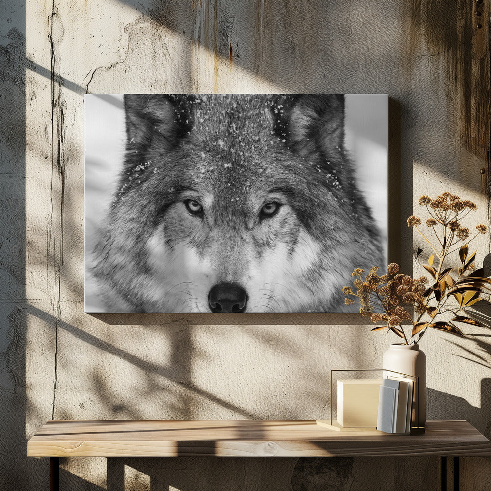 Wolf Portrait by Mircea Costina | Black White Wolf, Large Canvas Wall Art Print | Artsy Earth