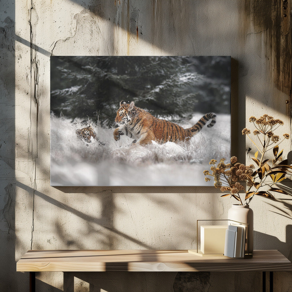 Joy on the Snow by Michaela Firešová | Playing Tiger Winter, Large Canvas Wall Art Print | Artsy Earth