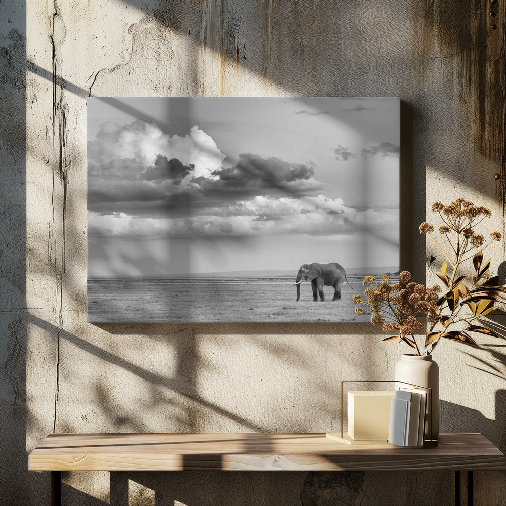 Alone by Siyu And Wei Photography | African Wildlife Safari, Large Canvas Wall Art Print | Artsy Earth