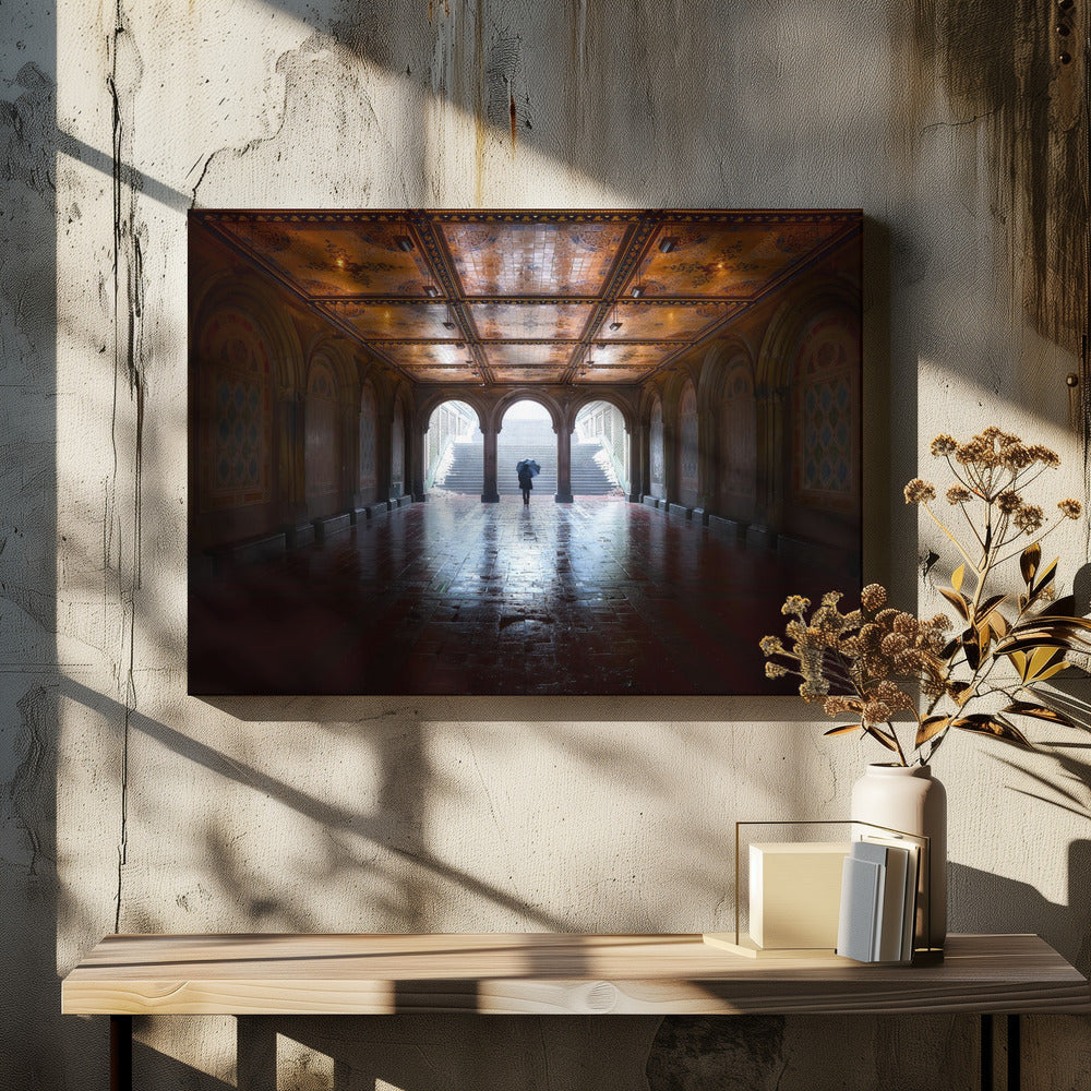 The Passageway by Javier De La Torre | Central Park Architecture, Large Canvas Wall Art Print | Artsy Earth