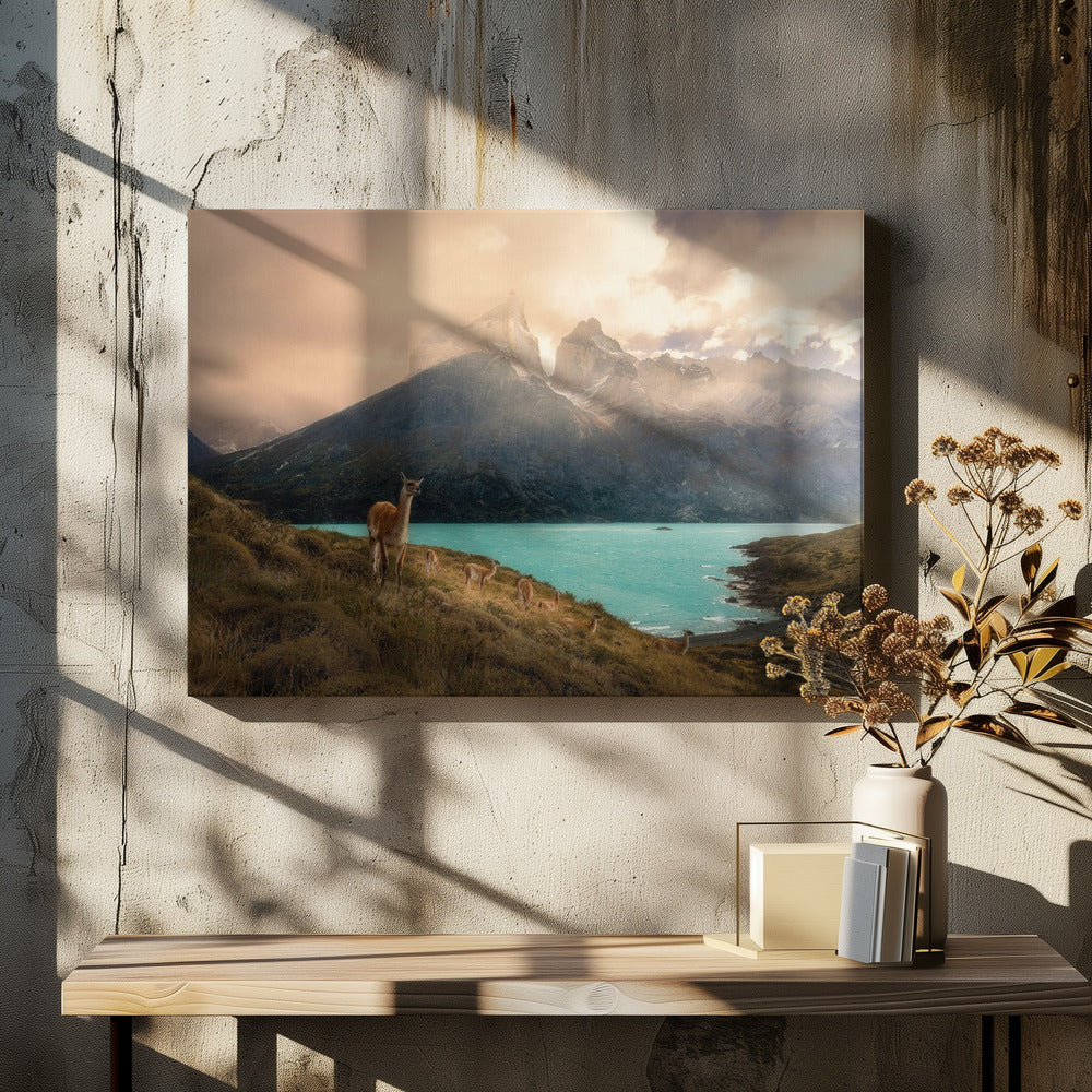 Alpaca at Torres del Paine by Dennis Zhang | Mountain Wildlife Landscape, Large Canvas Wall Art Print | Artsy Earth