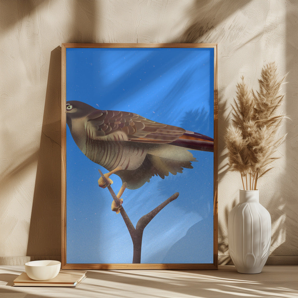 Hawk Digital Art by Franco Caballero | Wildlife Bird Illustration, Large Canvas Wall Art Print | Artsy Earth