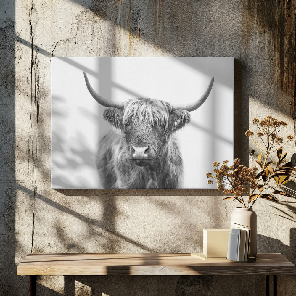 Highland Bull by Kathrin Pienaar | Black And White Animal Portrait, Large Canvas Wall Art Print | Artsy Earth