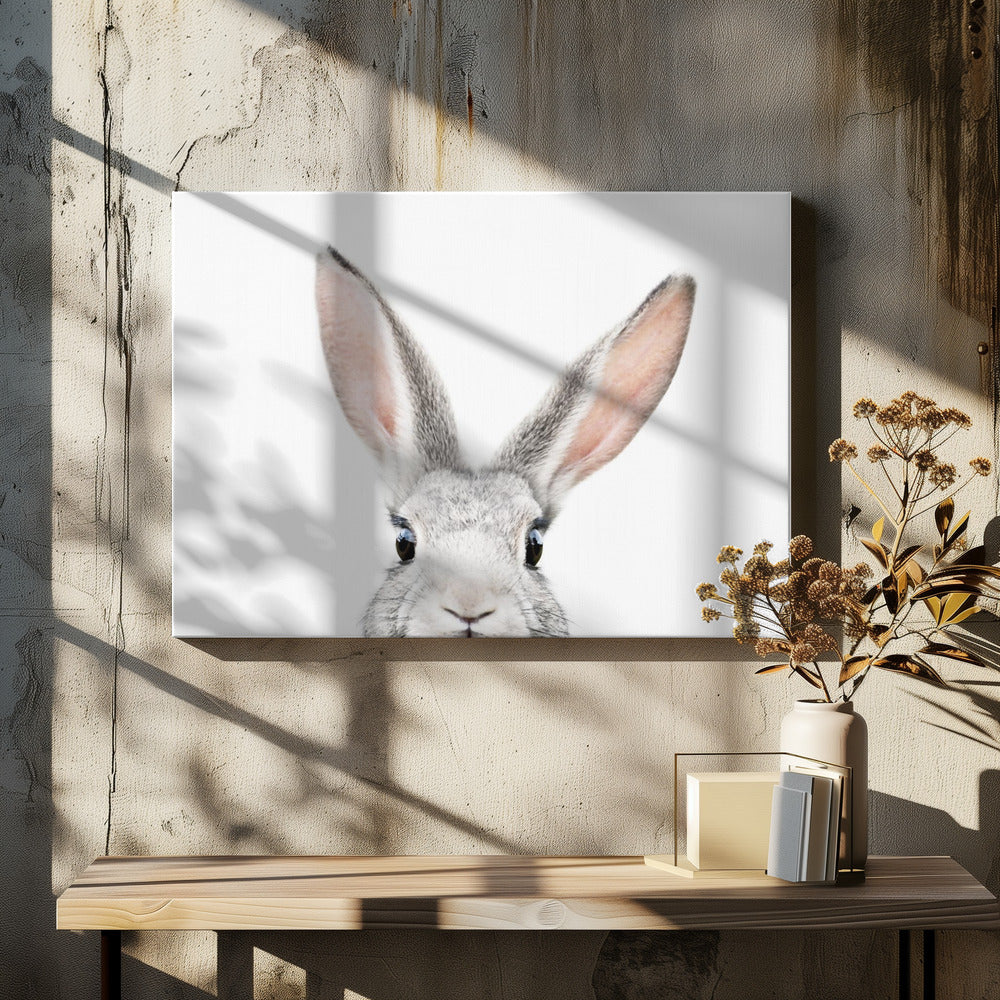 Peeking Bunny by Kathrin Pienaar | Cute Rabbit Portrait, Large Canvas Wall Art Print | Artsy Earth