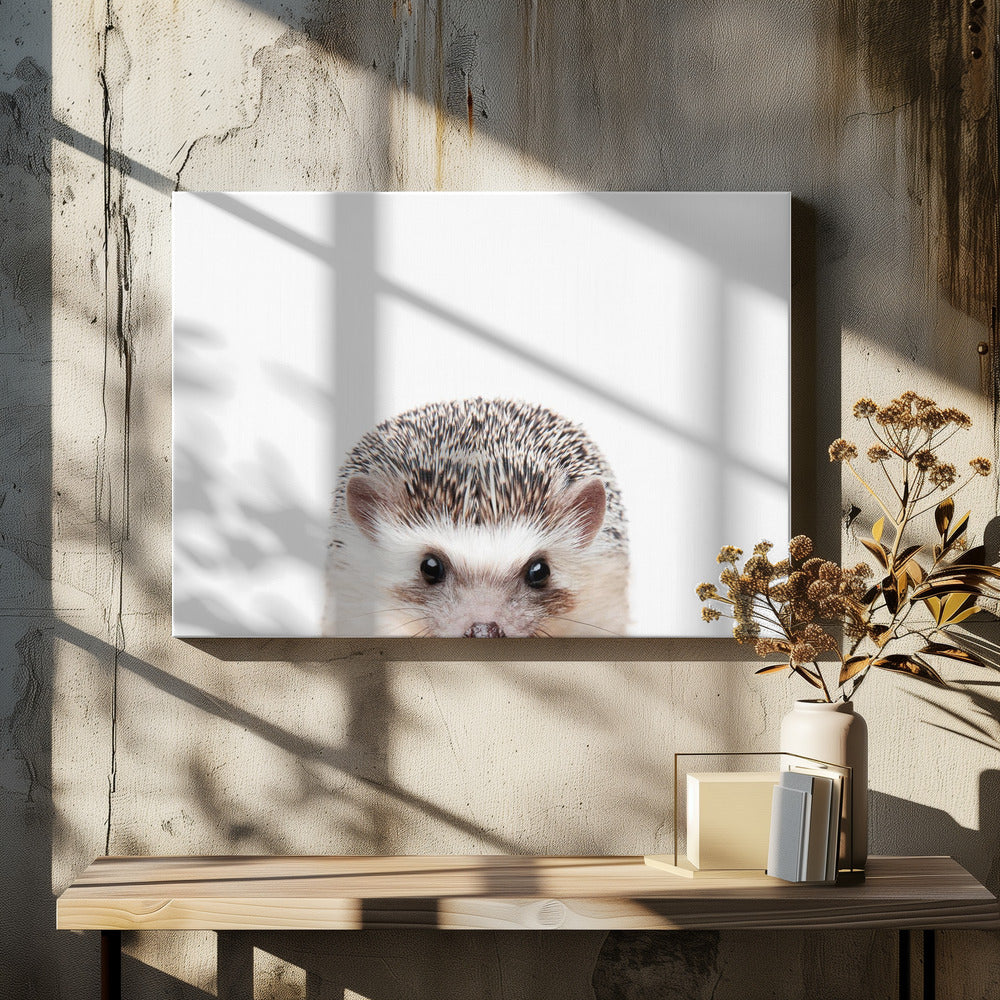 Peeking Hedgehog by Kathrin Pienaar | Cute Animal Portrait, Large Canvas Wall Art Print | Artsy Earth