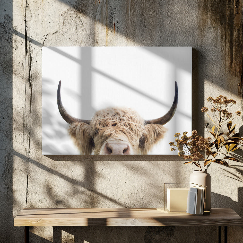 Peeking Cow by Kathrin Pienaar | Highland Cattle Portrait, Large Canvas Wall Art Print | Artsy Earth