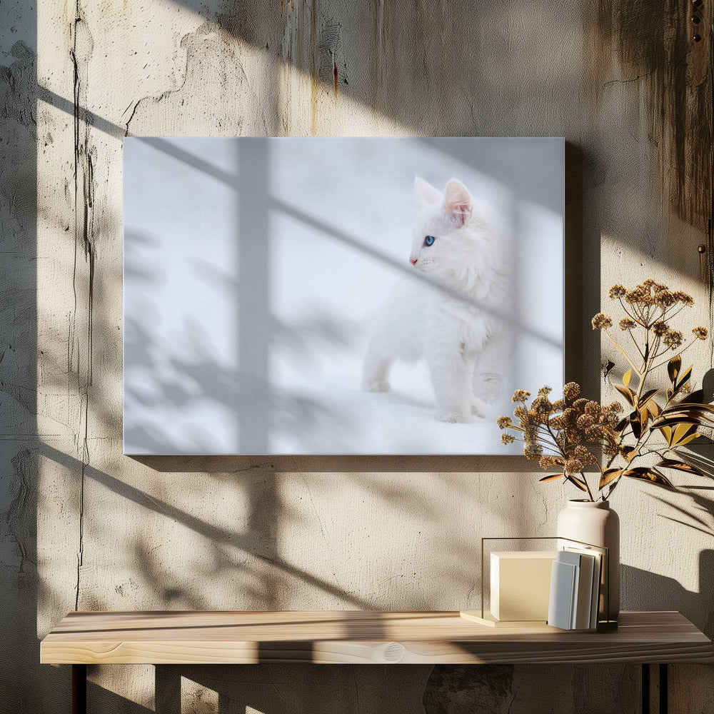 White as Snow by Esmée Prexus | White Winter Kitten, Large Canvas Wall Art Print | Artsy Earth