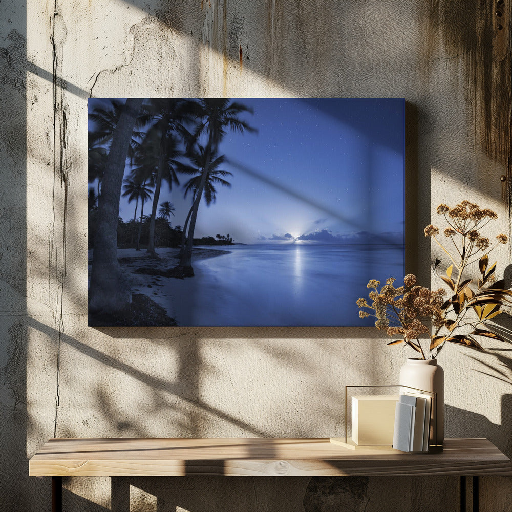 Tropical Moonrise by Stefan Hefele | Starry Beach Seascape, Large Canvas Wall Art Print | Artsy Earth