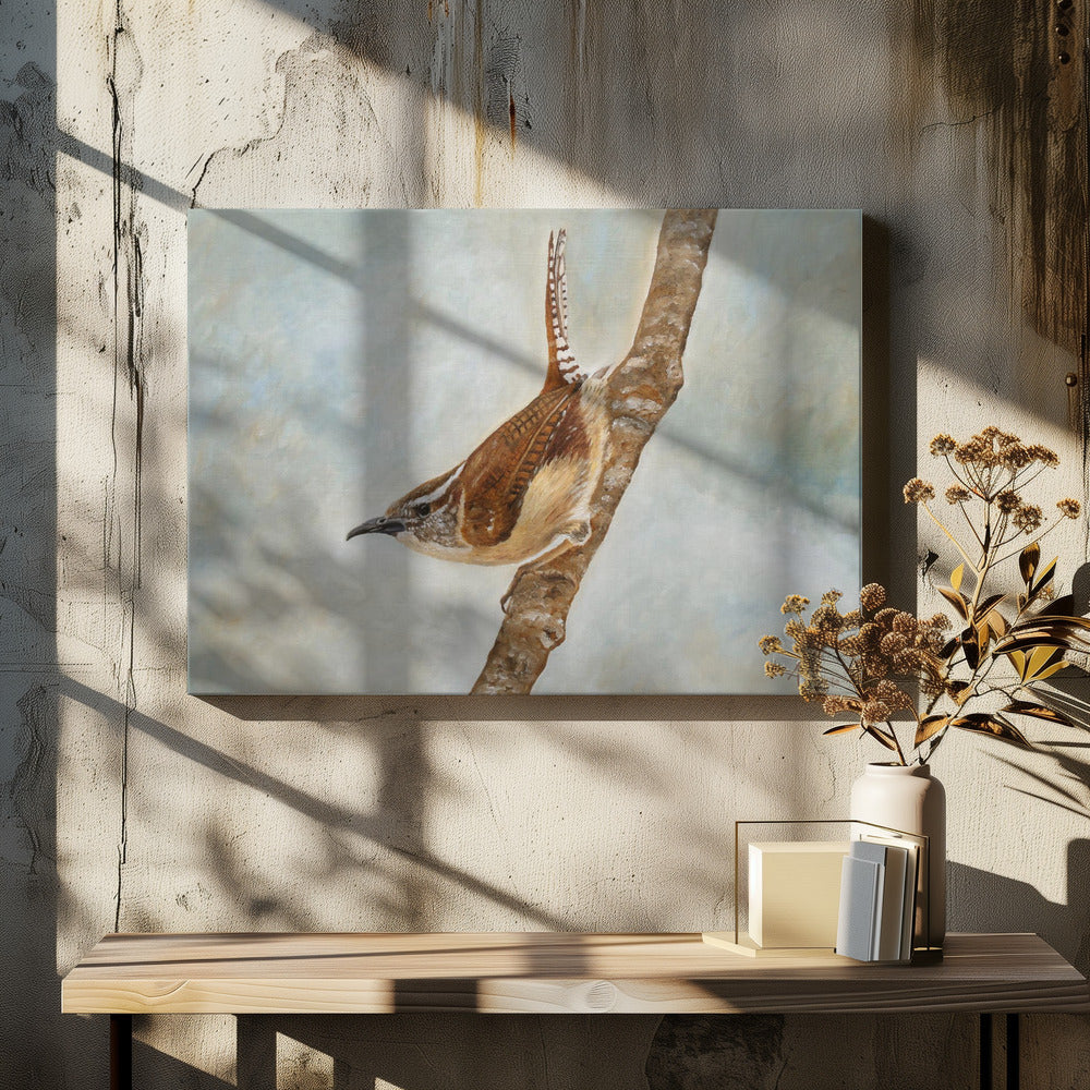 Sweet Carolina Wren by Angeles M. Pomata | Wildlife Bird Illustration, Large Canvas Wall Art Print | Artsy Earth