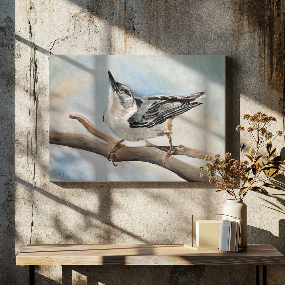 Tuning In Nuthatch by Angeles M. Pomata | Wildlife Bird Painting, Large Canvas Wall Art Print | Artsy Earth