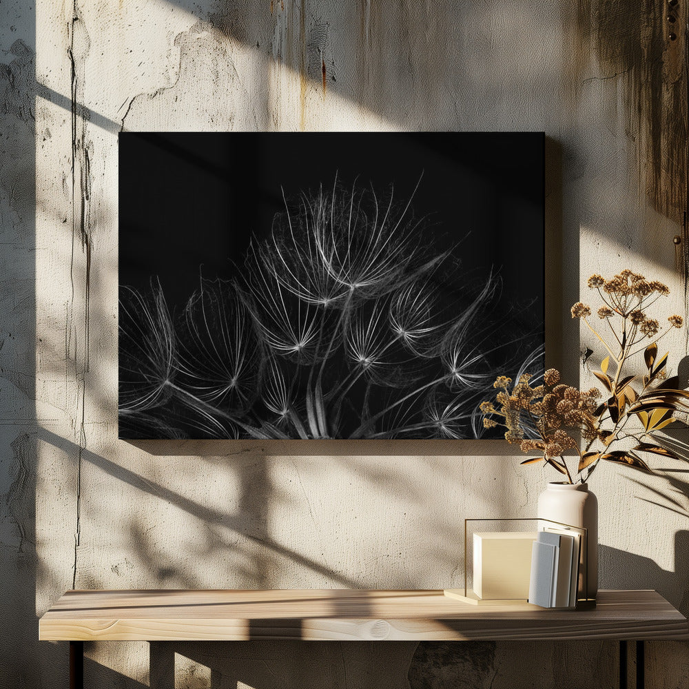 Black White Salsify by Penny Myles | Monochrome Botanical Macro, Large Canvas Wall Art Print | Artsy Earth