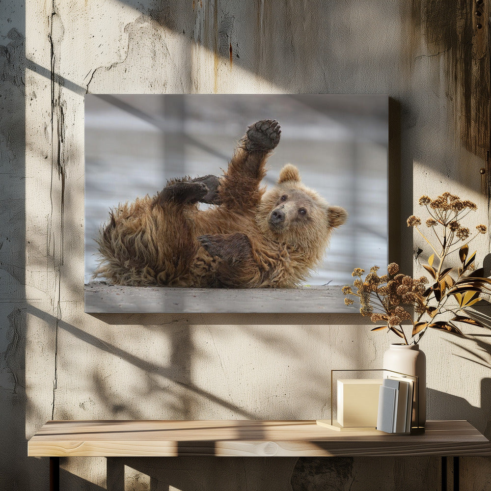 High Five by Alfred Forns | Coastal Brown Bear, Large Canvas Wall Art Print | Artsy Earth