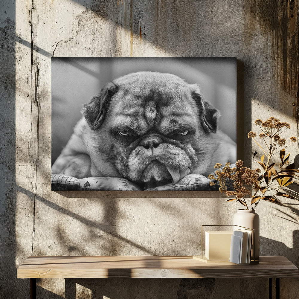 The Boss by Angelika Martha Himburg | Angry Bulldog Portrait, Large Canvas Wall Art Print | Artsy Earth