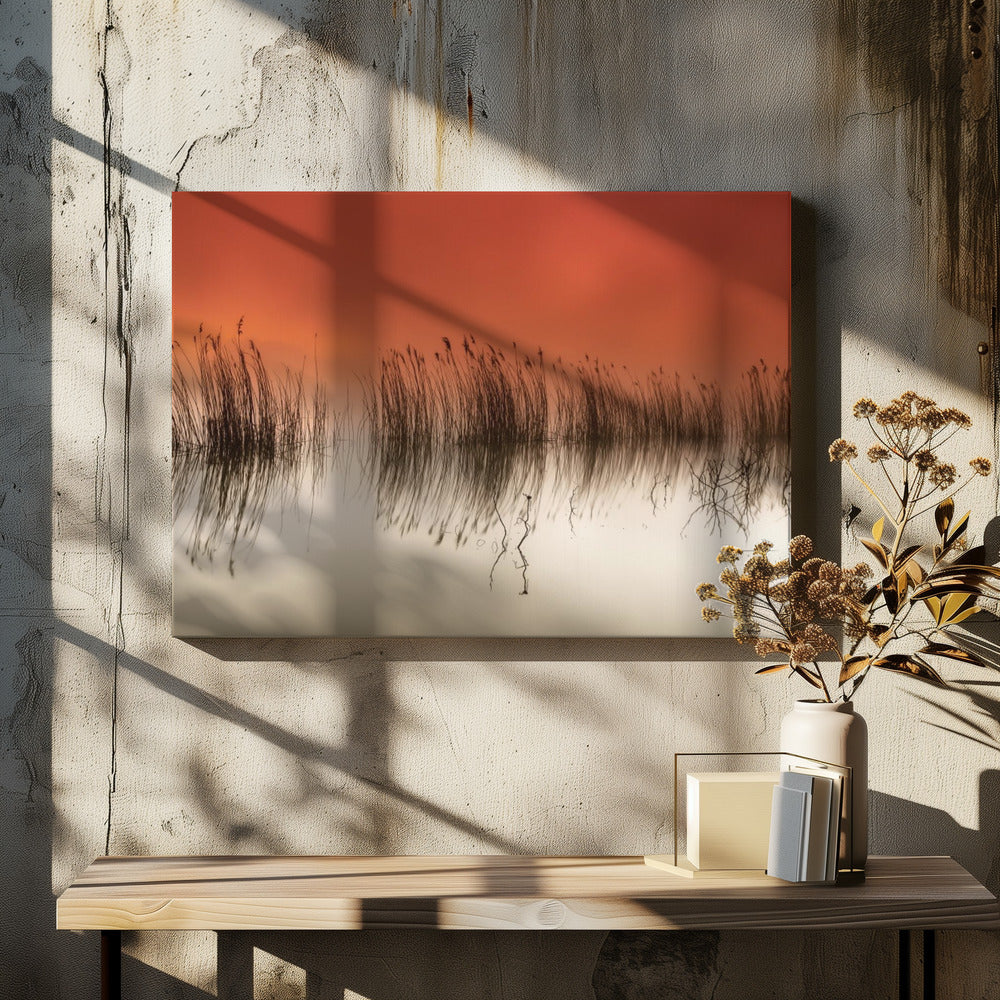 Serene Waterscape by Rui David | Peaceful Reed Reflection, Large Canvas Wall Art Print | Artsy Earth