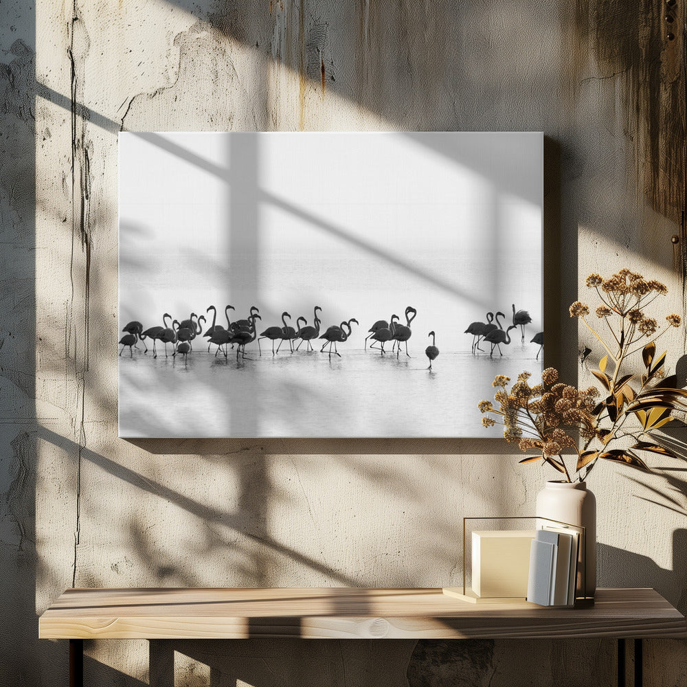 Flamingos at Shore by Joan Gil Raga | Coastal Wildlife Nature, Large Canvas Wall Art Print | Artsy Earth