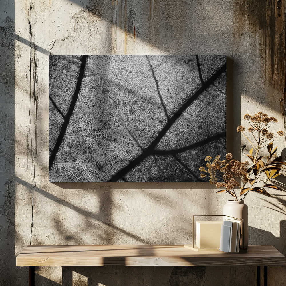 Leaf Vein Pattern by Matteo Chiarello | Abstract Leaf Texture, Large Canvas Wall Art Print | Artsy Earth