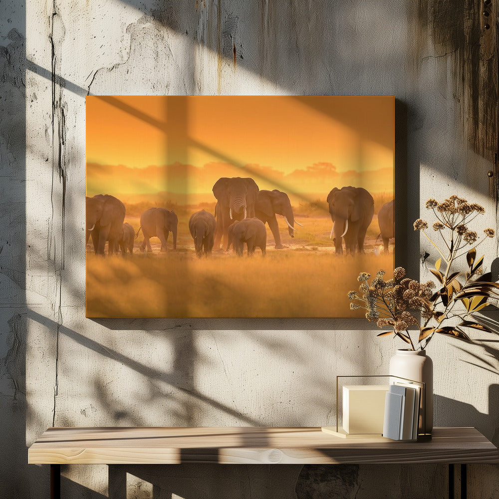 Golden Light by David Hua | African Wildlife Sunset, Large Canvas Wall Art Print | Artsy Earth