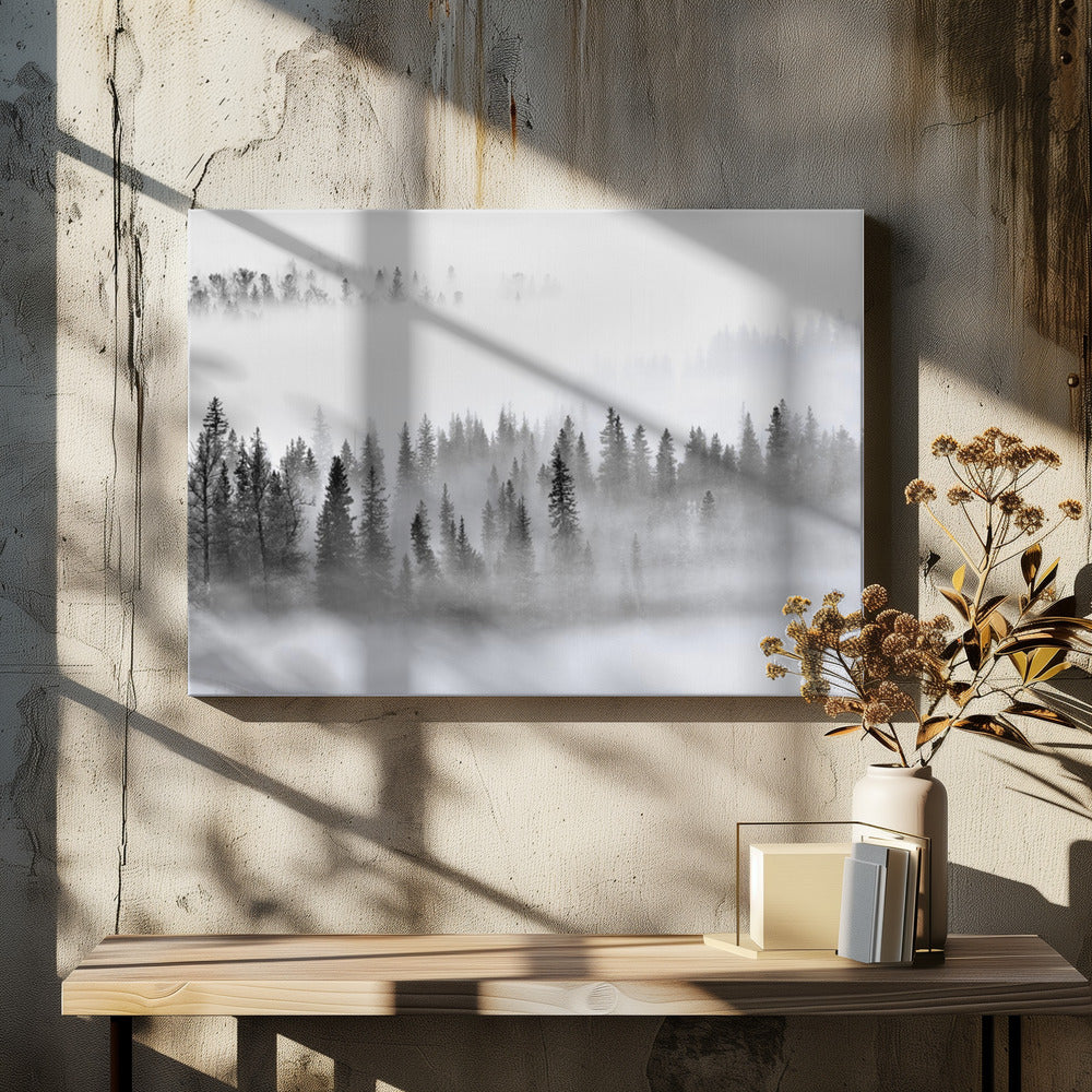 Foggy Forest by Mei Xu | Misty Pine Landscape, Large Canvas Wall Art Print | Artsy Earth