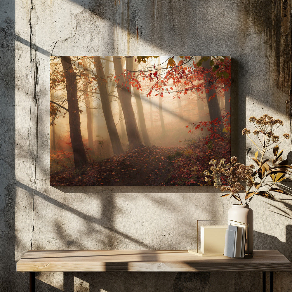 Towards the light by Leif Løndal | Misty Forest Path, Large Canvas Wall Art Print | Artsy Earth