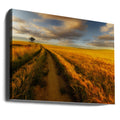 Lonely Path Field by Piotr Krol (bax) | Countryside Landscape Trail, Large Canvas Wall Art Print | Artsy Earth