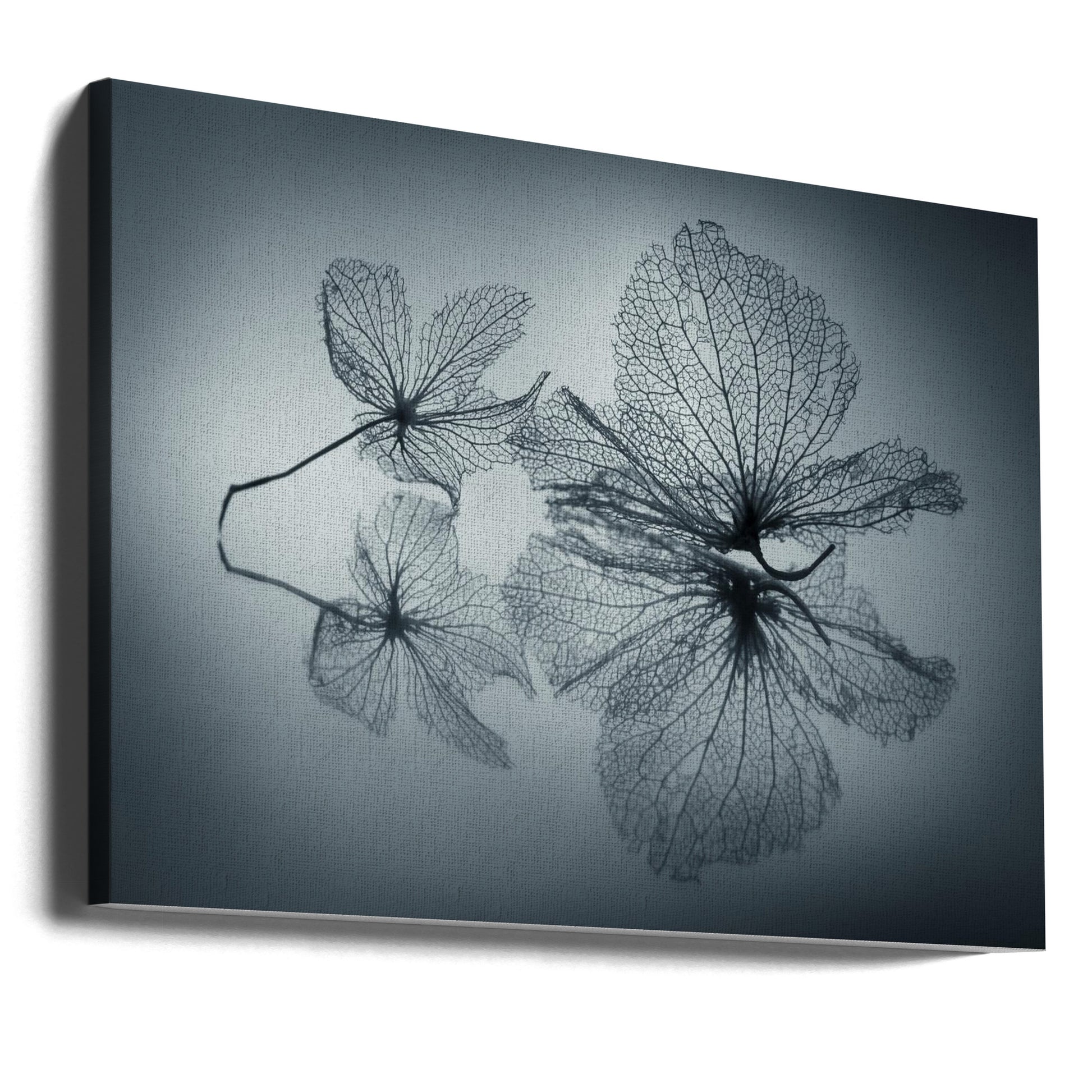 Ephemeral Beauty by Shihya Kowatari | Delicate Floral Elegance, Large Canvas Wall Art Print | Artsy Earth