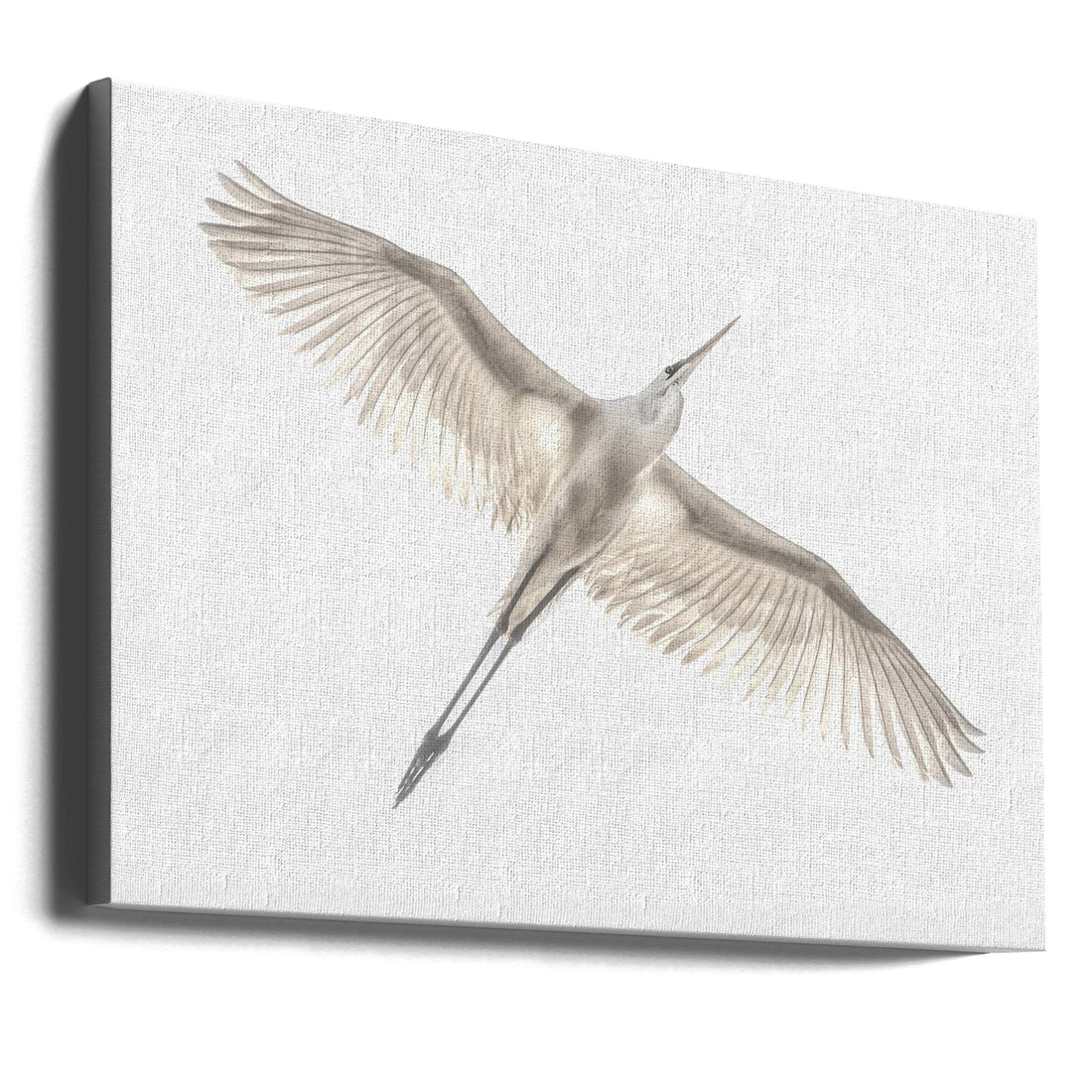 White Egret Flight by Keren Or | Flying Bird Wildlife, Large Canvas Wall Art Print | Artsy Earth