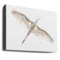 White Egret Flight by Keren Or | Flying Bird Wildlife, Large Canvas Wall Art Print | Artsy Earth