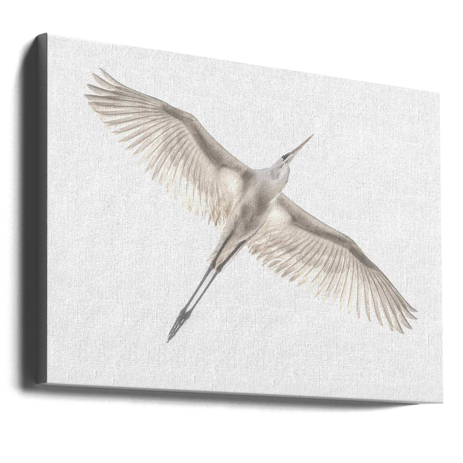 White Egret Flight by Keren Or | Flying Bird Wildlife, Large Canvas Wall Art Print | Artsy Earth