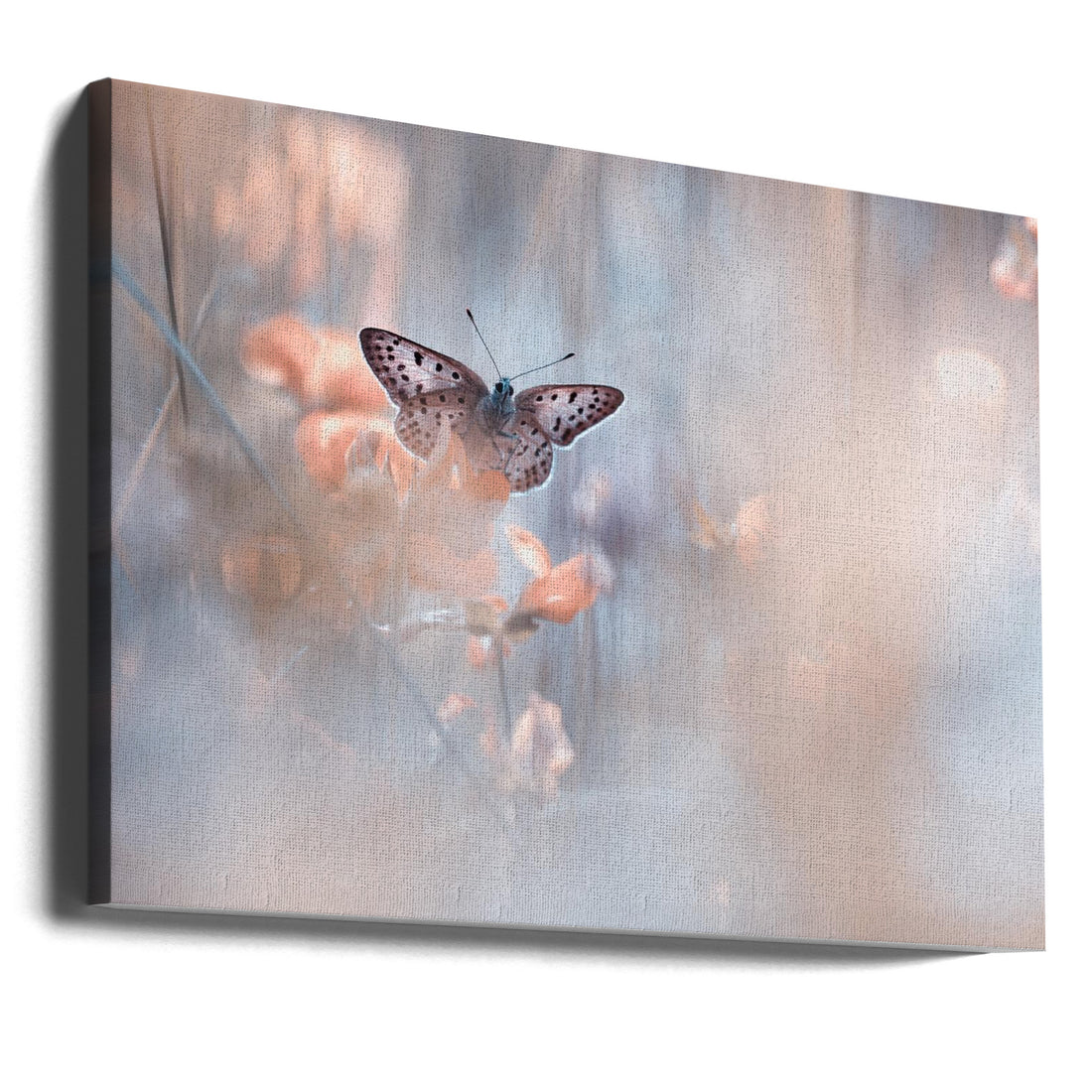 Dakinis Watching Over by Fabien Bravin | Fantasy Angel Wings, Large Canvas Wall Art Print | Artsy Earth