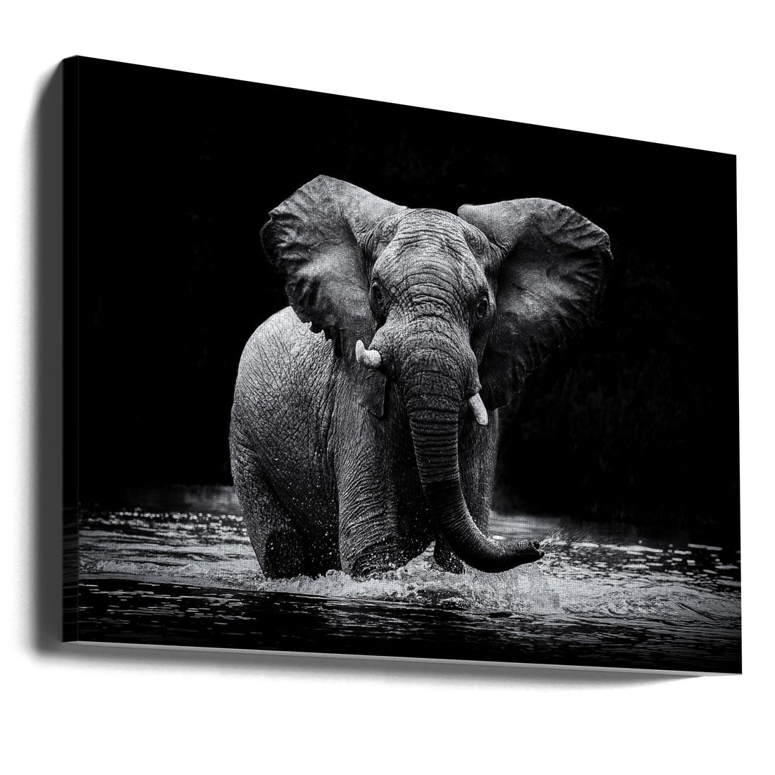 Power by Gorazd Golob | African Wildlife Photography, Large Canvas Wall Art Print | Artsy Earth