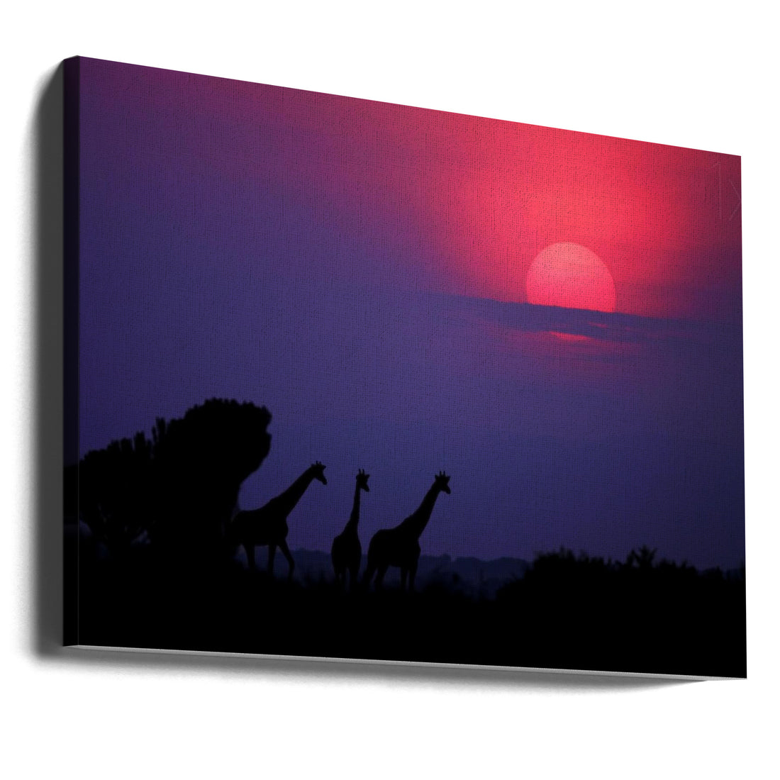 Sunrise in Uganda by Nicolás Merino | African Safari Wildlife, Large Canvas Wall Art Print | Artsy Earth