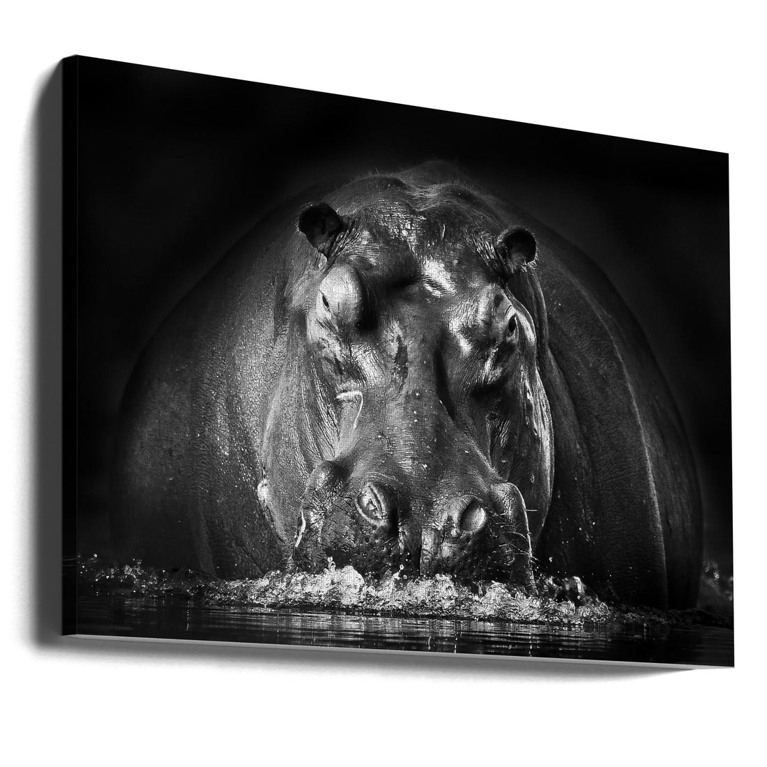 Hippo Power by Gorazd Golob | Dangerous Wildlife Force, Large Canvas Wall Art Print | Artsy Earth