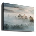 Winter Fog by Marco Galimberti | Foggy Winter Landscape, Large Canvas Wall Art Print | Artsy Earth