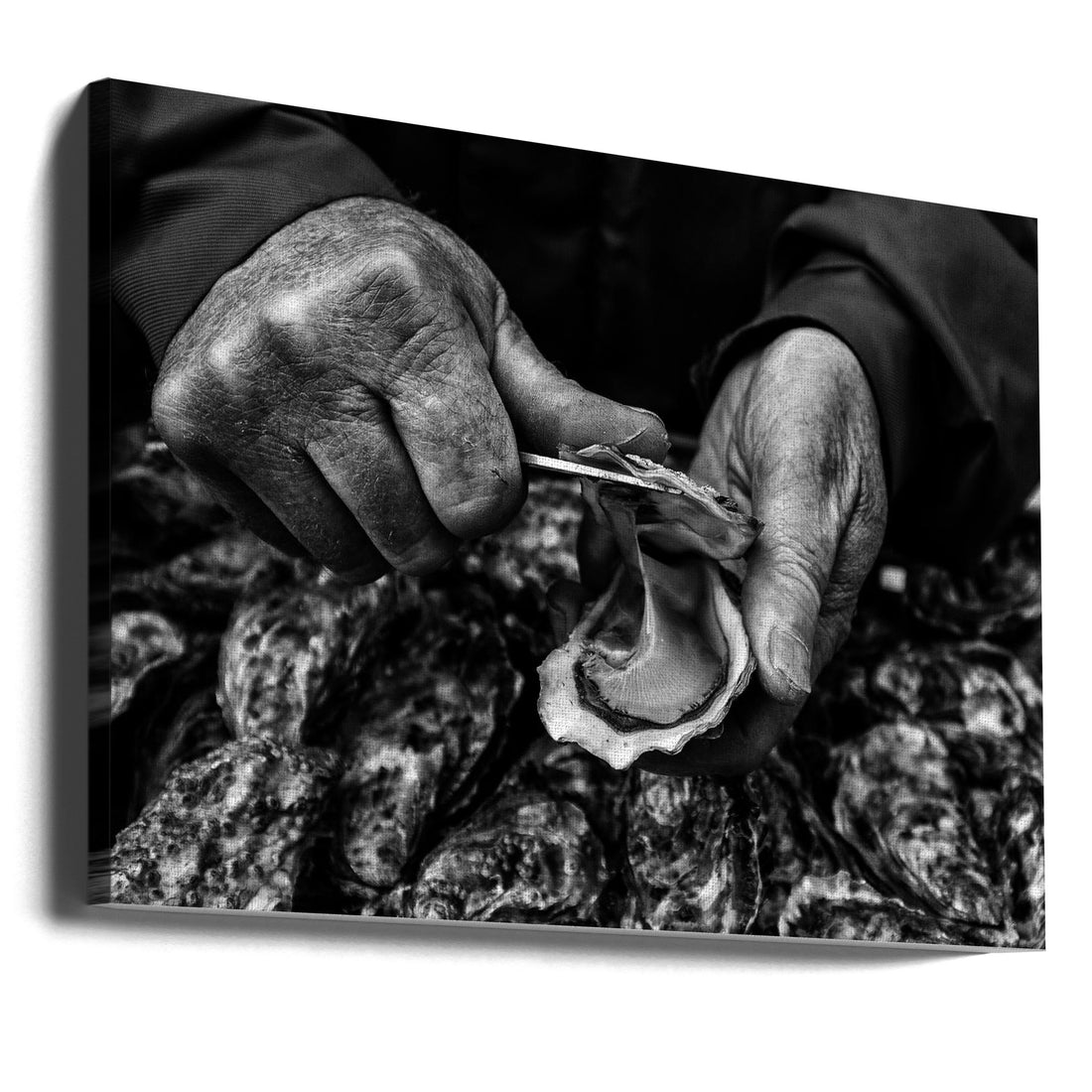 Oyster Farmer by Manu Allicot | Seafood Kitchen Life, Large Canvas Wall Art Print | Artsy Earth