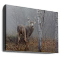 White-tailed buck by Jim Cumming | Autumn Forest Wildlife, Large Canvas Wall Art Print | Artsy Earth