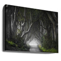 Dark Hedges by Nicola Molteni | Foggy Forest Path, Large Canvas Wall Art Print | Artsy Earth