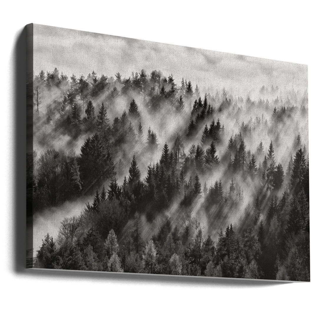 Sundance No.1 by Davorin Baloh | Misty Forest Aerial, Large Canvas Wall Art Print | Artsy Earth