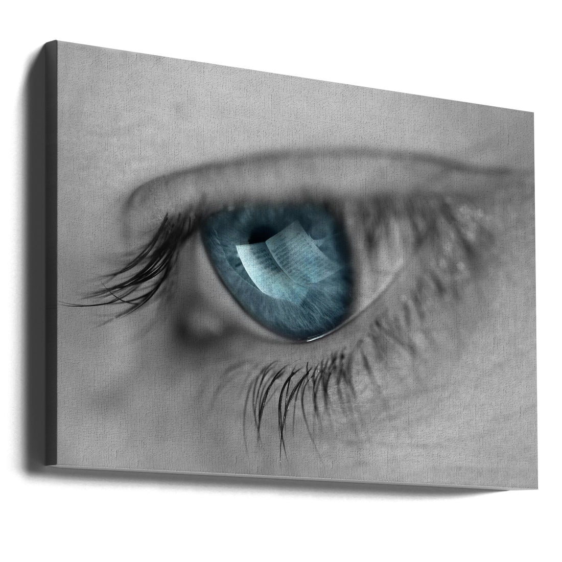 Music in Her Eyes by Xavier Garci | Blue Eye Macro, Large Canvas Wall Art Print | Artsy Earth