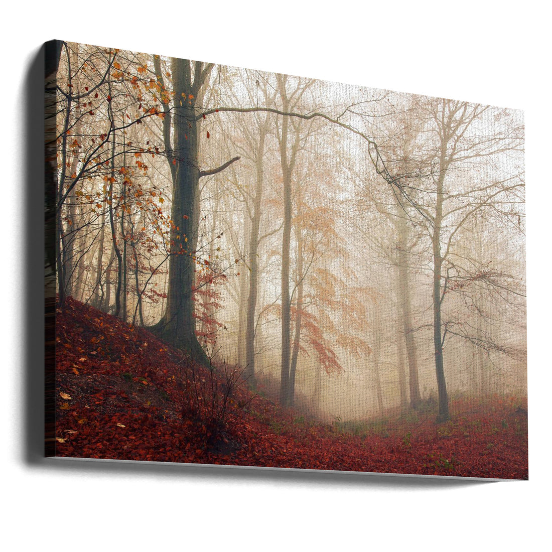 Waiting for the deer by Leif Løndal | Foggy Forest Landscape, Large Canvas Wall Art Print | Artsy Earth